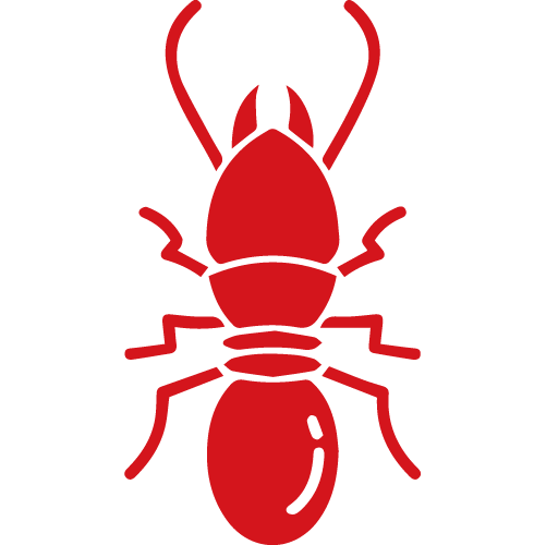 Limpieza